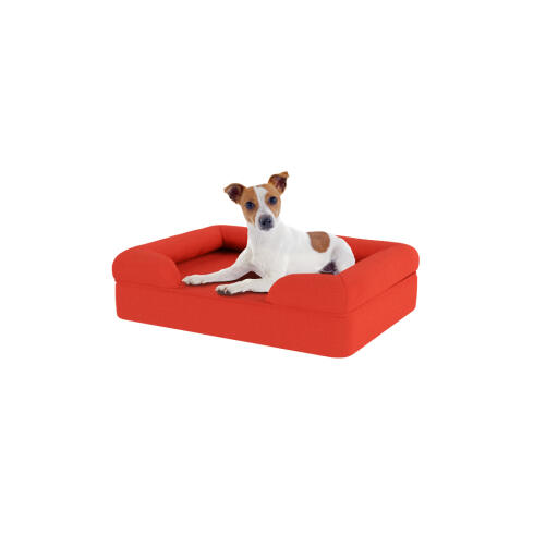 Hund sitzend auf kleinem kirschroten memory foam nackenrolle hundebett