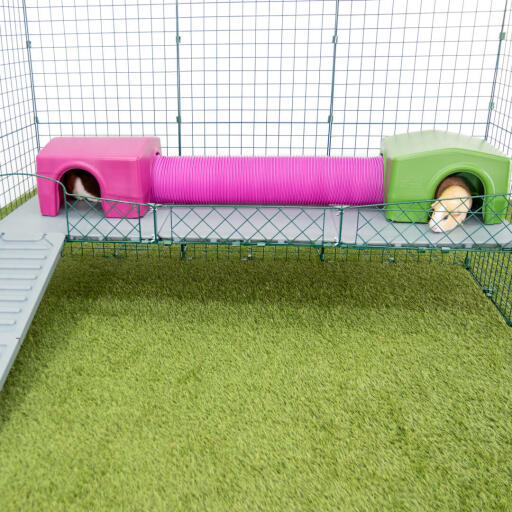 Omlet Zippi meerschweinchen-laufstall mit Zippi plattformen, lila und grün Zippi unterständen verbunden mit einem Zippi spieltunnel