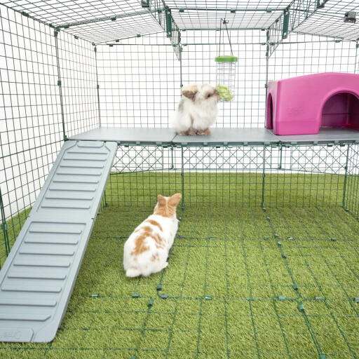 Omlet Zippi kaninchenlaufstall mit Zippi plattformen, lila Zippi unterstand, Caddi leckerlihalter und kaninchen