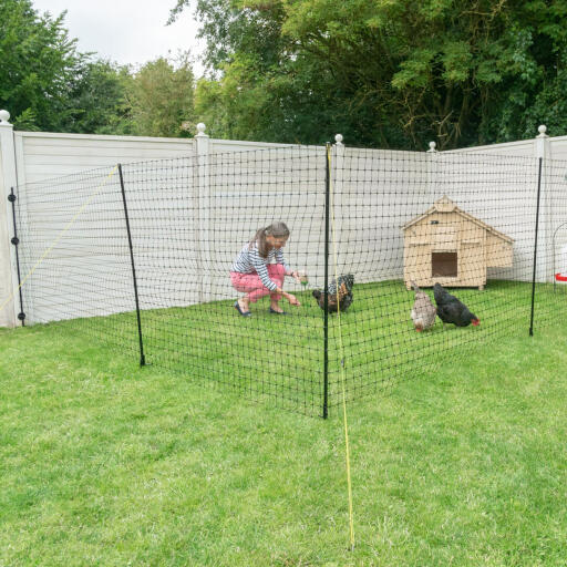 Eine frau in einem garten mit hühnern innerhalb eines eingezäunten bereichs.