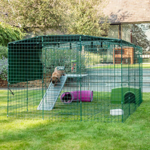 Omlet Zippi kaninchenlaufstall mit Zippi plattformen, grünem Zippi unterstand und zwei kaninchen