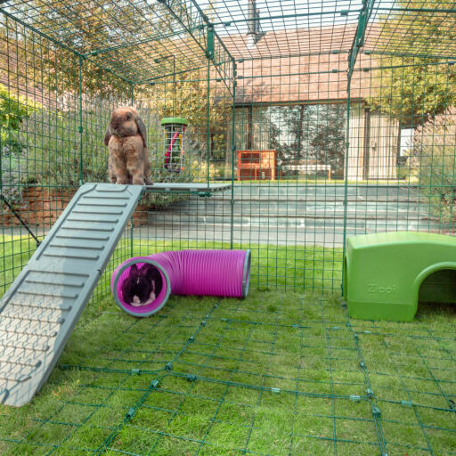 Flopsy überblickt von seiner Eck-Plattform aus den Garten, während Thumper im schattigen Spieltunnel darunter schläft.