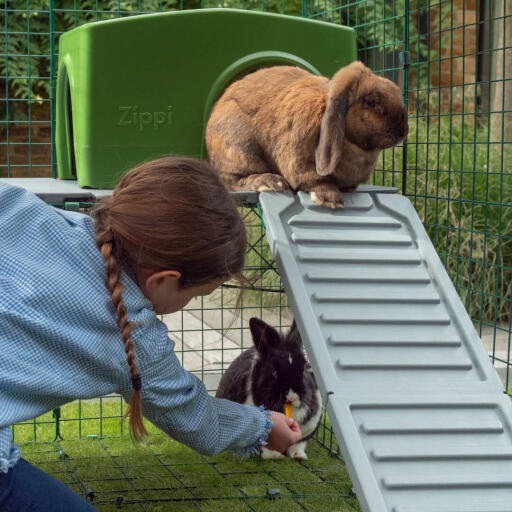 Scheue Kaninchen werden den geschützten Platz unterhalb der Plattformen lieben, wo sie ein Nickerchen machen oder einen leckeren Happen genießen können!