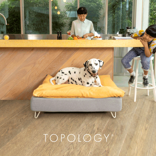 Dalmatiner liegend auf Omlet Topology hundebett mit sitzsack-topper und weißen haarnadelfüßen