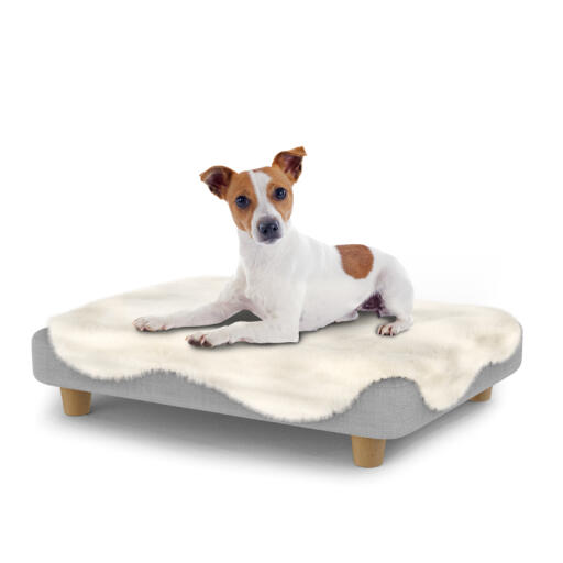 Hund sitzt auf einem kleinen Topology hundebett mit schafsfellauflage und runden holzfüßen