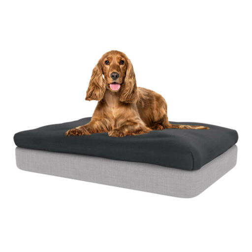 Der sitzsack-topper bietet ihrem hund einen unschlagbaren komfort.