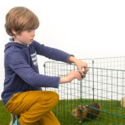 Ein kleiner junge, der ein Zippi schloss an einem meerschweinchen Zippi auslauf anbringt