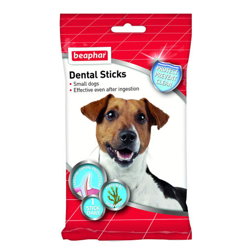 Beaphar zahnstocher für kleine hunde