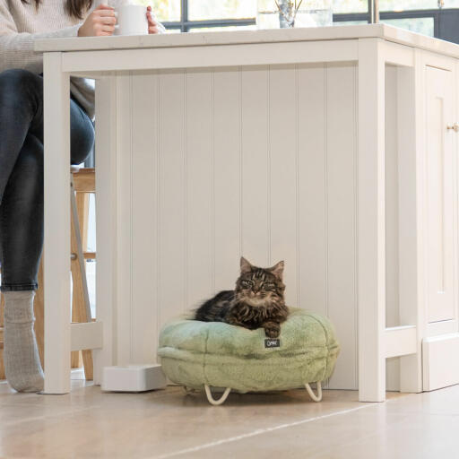 Katze in einer küche, die sich im superweichen mintgrünen donut-bett entspannt