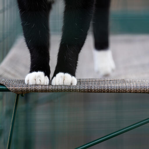 Langlebiges katzenregal