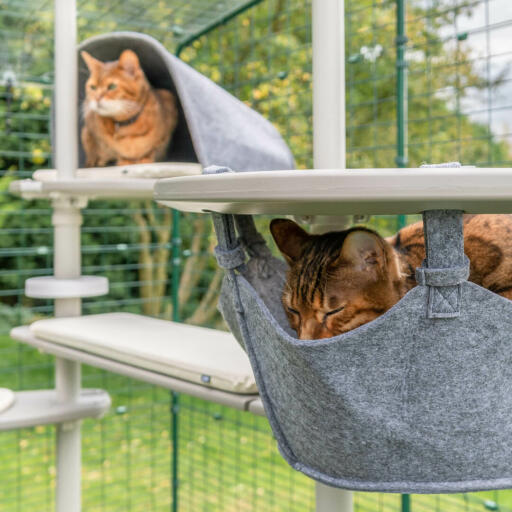 Katzen genießen das Omlet Freestyle outdoor-kratzbaumsystem, eine schläft in der hängematte und die andere ist in der höhle