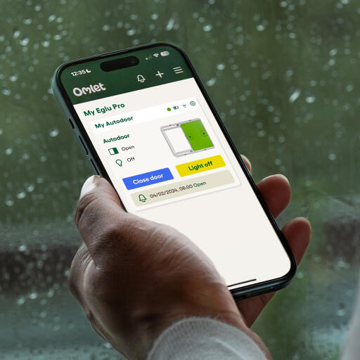 Nahaufnahme des bildschirms der app Omlet 