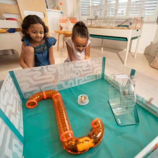 Zwei kinder betrachten ihren hamster in den starttunneln im Omlet hamsterlaufstall