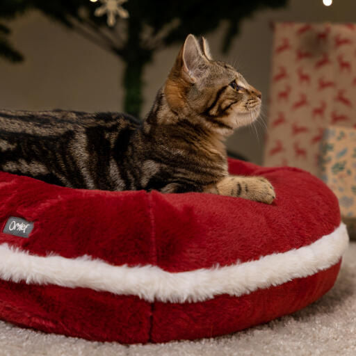 Ein Kätzchen im weihnachtlichen Katzenbett von Omlet