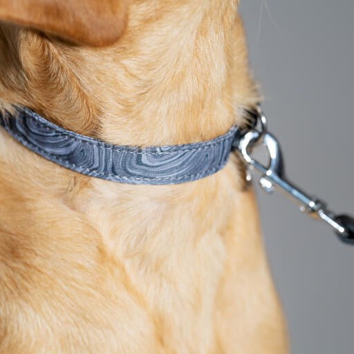 Designer hundeleine und hundehalsband kontur grau Omlet