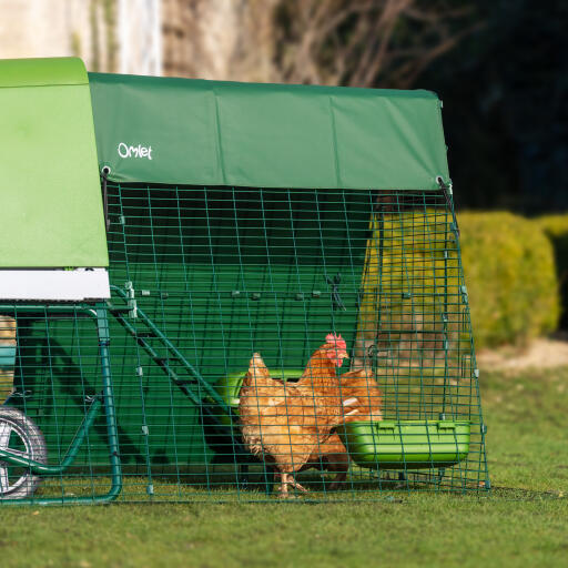 Robuste auslaufabdeckung für Eglu Go up hühnerstall