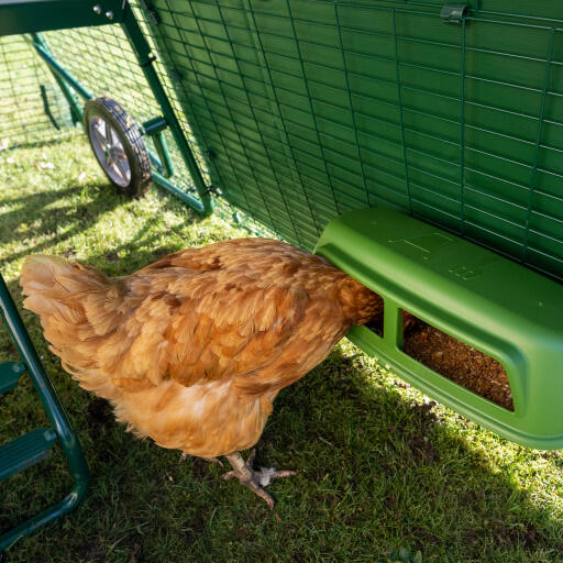 Hühner fressen im auslauf abdeckung für Eglu Go up hühnerstall
