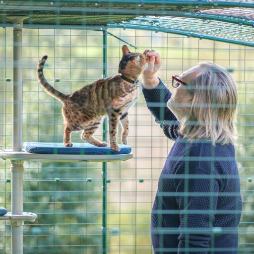 Mann und katze in einem katzengehege, die den personalisierten kratzbaum für draußen genießen