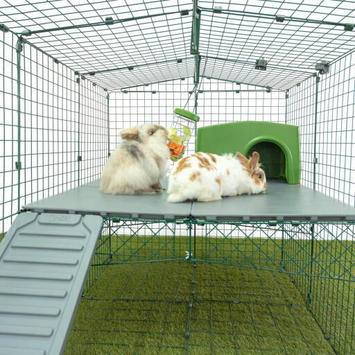 Zwei kaninchen knabbern am leckerli-despencer im Omlet kaninchenauslauf.