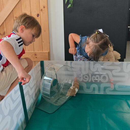 Spielen in einem hamsterlaufstall