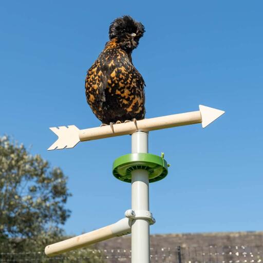 Ein Huhn hockt auf der Wetterfahne - Spielzeug und Zubehör für das freistehende Universal-Hühnerstangensystem