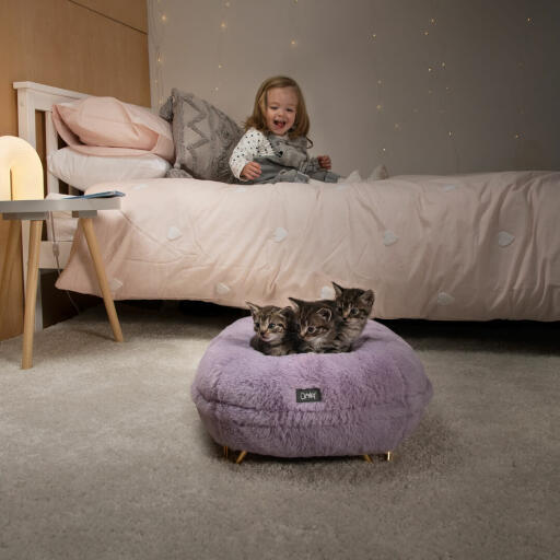 Ein Kind, das den Kätzchen in ihrem weichen Donut-Katzenbett zuschaut