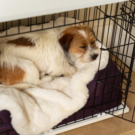 Luxury schafsfell hundedecke