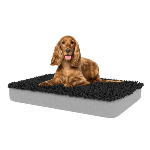 Wählen sie einen stilvollen topper, der zu ihrem zuhause passt, damit ihr hund sich dort entspannen kann, wo sie sind