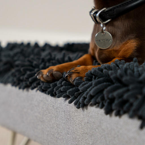 Teckel in einem grauen mikrofaser-topper für das Topology waschbare hundebett