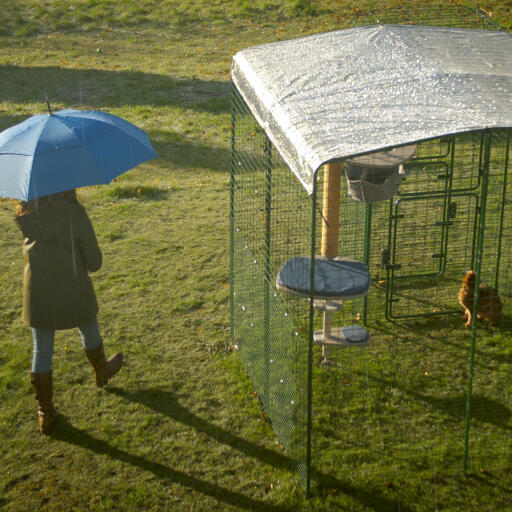 Eine katze in ihrem katzenklo mit strapazierfähiger abdeckung im regen