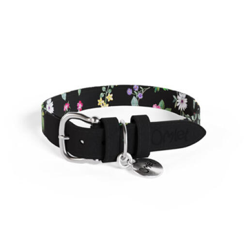 Medium mitternachtswiese designer hundehalsband