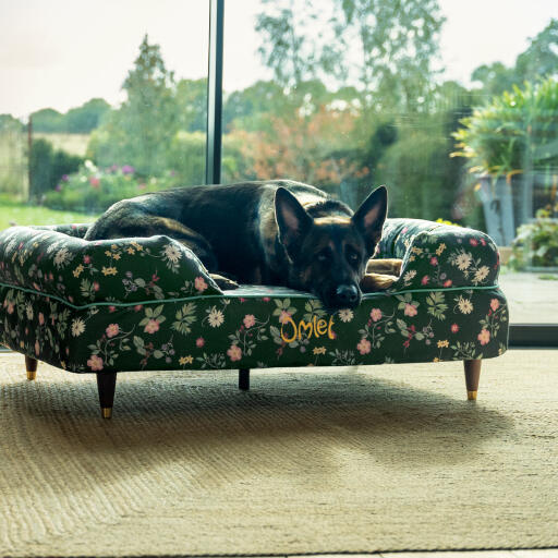 Ein Deutscher Schäferhund ruht sich auf dem Hundesofa mit dem Motiv Midnight Meadow aus