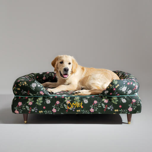 Ein Golden retriever ruht sich im midnight meadow nackenrollen-hundebett aus