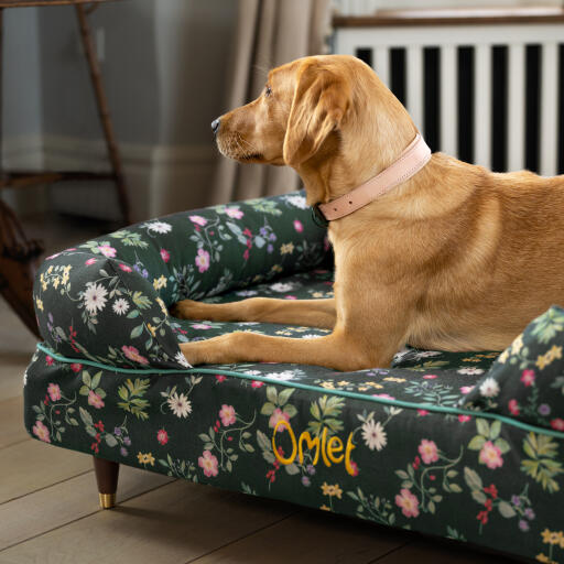 Ein retriever ruht sich im mitternachtswiese-nackenrollen-hundebett aus