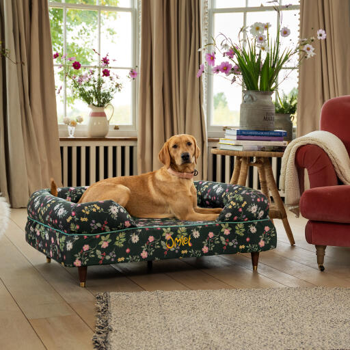 Ein retriever ruht sich im mitternachtswiese-nackenrollen-hundebett aus