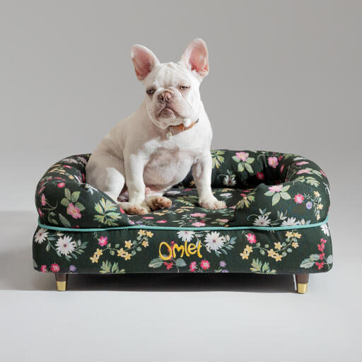 Eine französische bulldogge saß in der mitternachtswiese nackenrolle hundebett