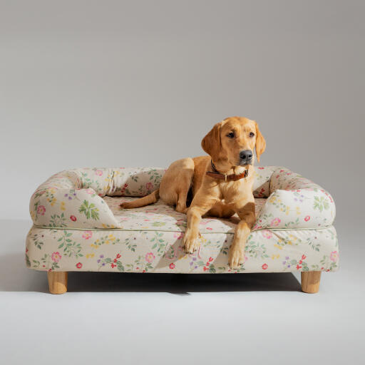 Ein retriever, der sich auf der morgenwiese ausruht, nackenrolle hundebett