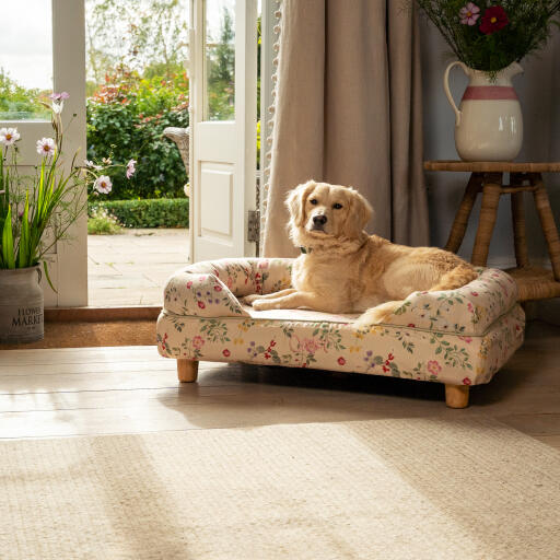 Ein miniatur Golden retriever ruht in der morgenwiese nackenrolle hundebett