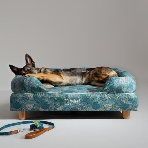 Ein deutscher schäferhund ruht sich im naturlehrpfad nackenrolle hundebett aus