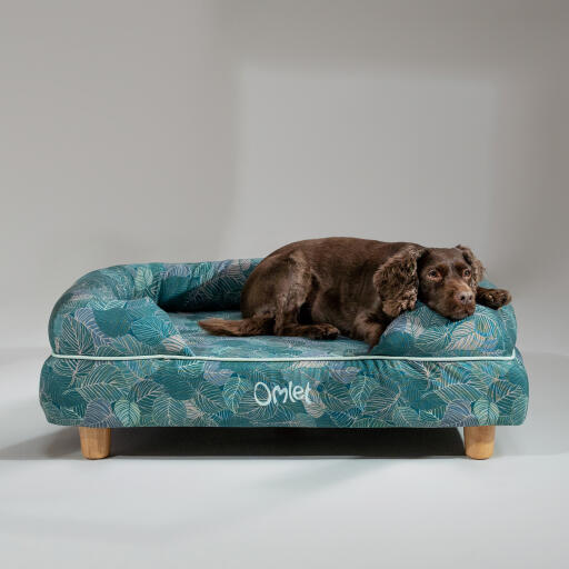 Ein cockerspaniel ruht sich im naturlehrpfad-hundebett aus