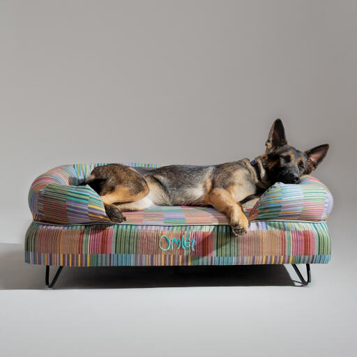 Ein deutscher schäferhund, der auf dem elektrischen hundebett von pawsteps ruht