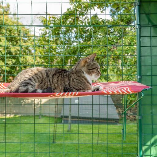 Katze legt sich auf rotes wasserdichtes katzenregal im freien im catio