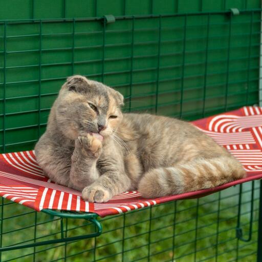 Katze legt sich hin und putzt ihre pfote auf dem roten wasserdichten katzenregal im freien