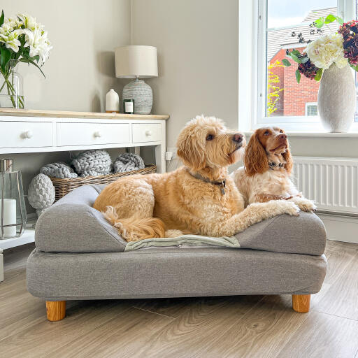 Topology hundebett mit füßen