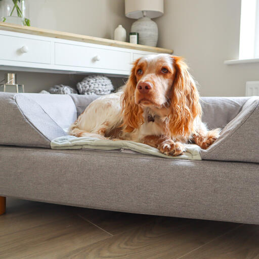 Topology hundebett mit nackenrolle