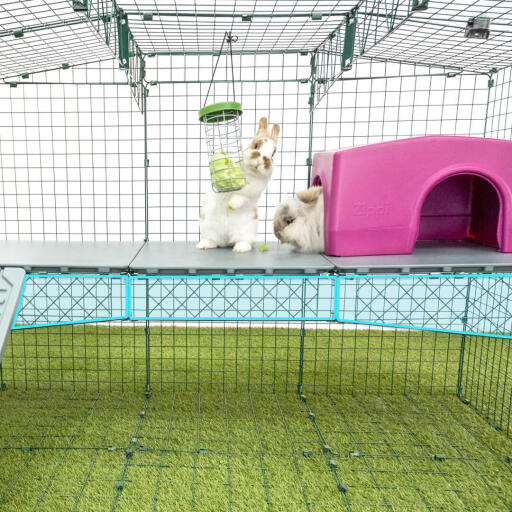 Zippi Plattformen werden mit einem Stützrahmen aus Draht geliefert, der für zusätzliche Stabilität sorgt und gewährleistet, dass sich die Platten nicht biegen, wenn sich Ihre Kaninchen darauf befinden.