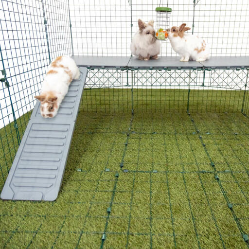 Omlet Zippi kaninchenlaufstall mit Zippi plattformen, Caddi leckerlihalter und drei kaninchen