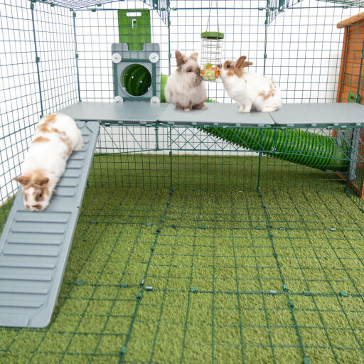 Omlet Zippi kaninchenlaufstall mit Zippi plattformen, Caddi leckerlihalter, Zippi tunnel verbunden und drei kaninchen