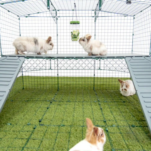 Omlet Zippi kaninchenlaufstall mit Zippi plattformen, Caddi leckerlihalter und kaninchen