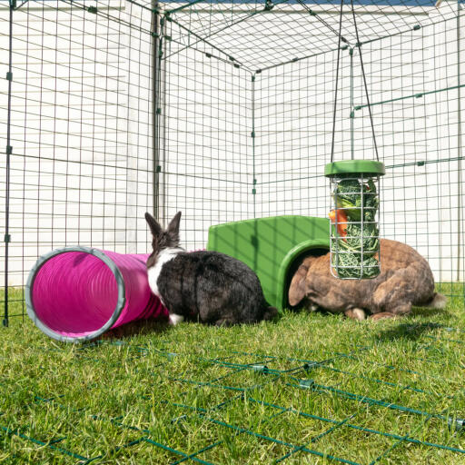 Zippi kaninchenstall mit kaninchen Zippi plattform und Caddi kaninchen-leckerli-halter